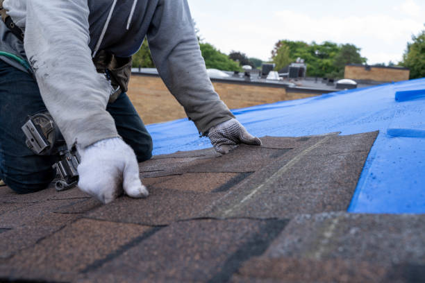 Professional Roofing Contractor in St Anthony, ID