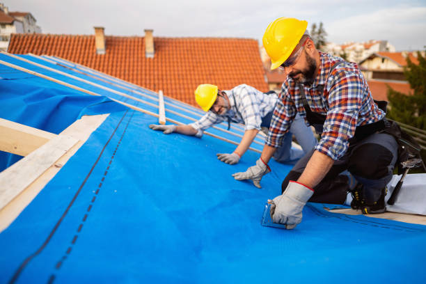 Best Flat Roof Repair Services  in St Anthony, ID